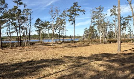 Photo #23 of Norfleet Shores, Belhaven, NC 112.0 acres