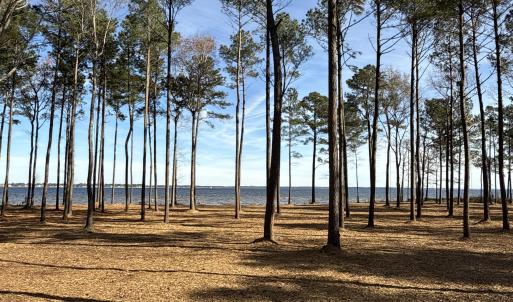 Photo #17 of Norfleet Shores, Belhaven, NC 112.0 acres