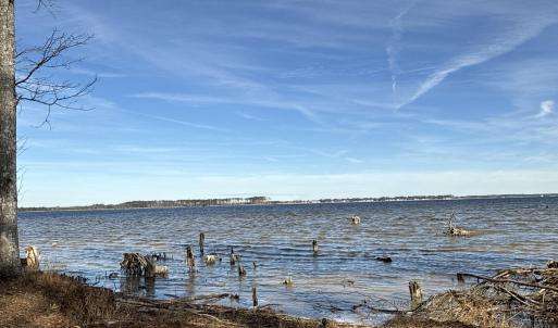 Photo #27 of Norfleet Shores, Belhaven, NC 112.0 acres