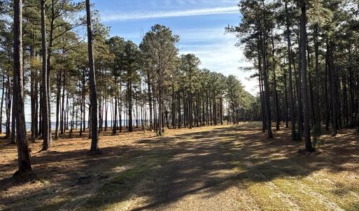 Photo #32 of Norfleet Shores, Belhaven, NC 112.0 acres