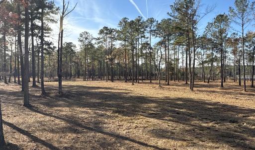 Photo #20 of Norfleet Shores, Belhaven, NC 112.0 acres