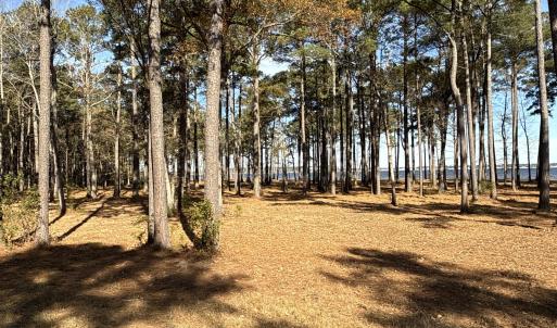 Photo #34 of Norfleet Shores, Belhaven, NC 112.0 acres