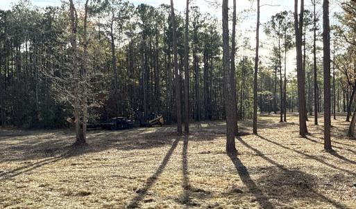 Photo #9 of Norfleet Shores, Belhaven, NC 112.0 acres