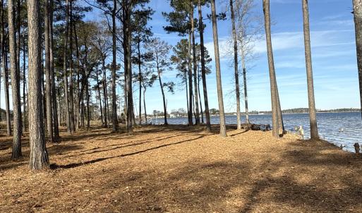 Photo #29 of Norfleet Shores, Belhaven, NC 112.0 acres