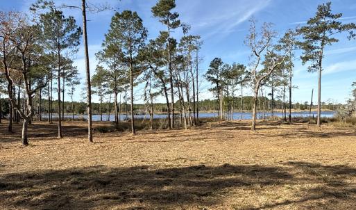 Photo #22 of Norfleet Shores, Belhaven, NC 112.0 acres