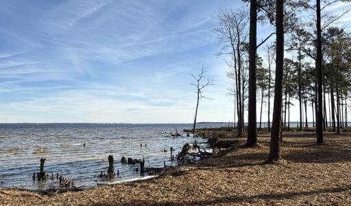 Photo #25 of Norfleet Shores, Belhaven, NC 112.0 acres
