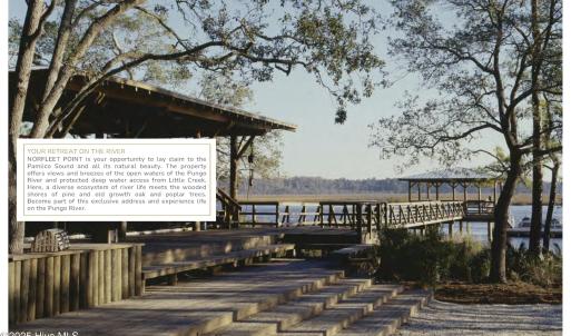 Photo #6 of Norfleet Shores, Belhaven, NC 112.0 acres