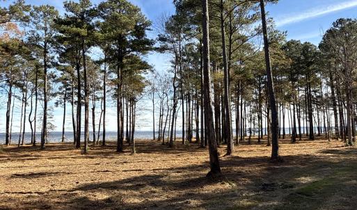 Photo #31 of Norfleet Shores, Belhaven, NC 112.0 acres