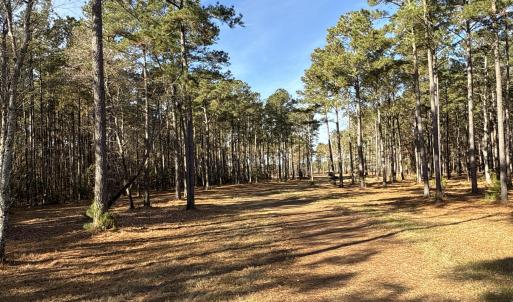 Photo #33 of Norfleet Shores, Belhaven, NC 112.0 acres