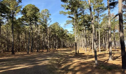 Photo #38 of Norfleet Shores, Belhaven, NC 112.0 acres