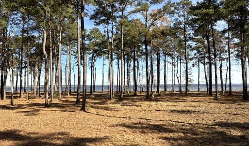 Photo #30 of Norfleet Shores, Belhaven, NC 112.0 acres