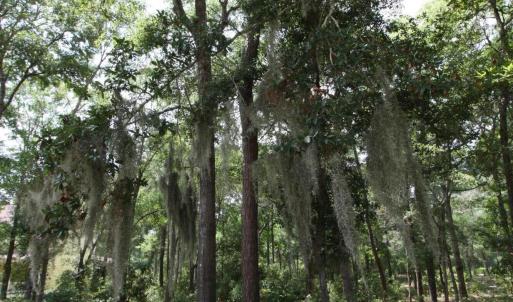 Photo #5 of 1901 Redfish, Supply, NC 0.7 acres