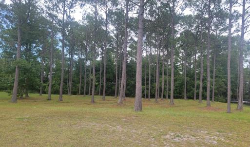 Photo #5 of 6368 Blenhiem, Ocean Isle Beach, NC 0.3 acres