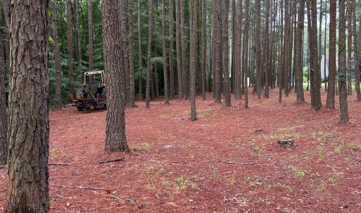 Photo #2 of 270 Guinea Mill, Moyock, NC 10.1 acres