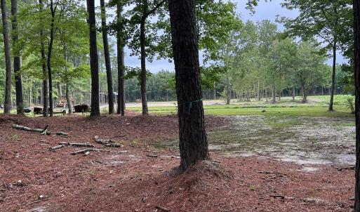Photo #1 of 270 Guinea Mill, Moyock, NC 10.1 acres
