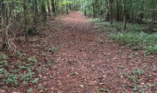 Photo #7 of 270 Guinea Mill, Moyock, NC 10.1 acres