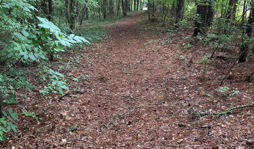 Photo #8 of 270 Guinea Mill, Moyock, NC 10.1 acres