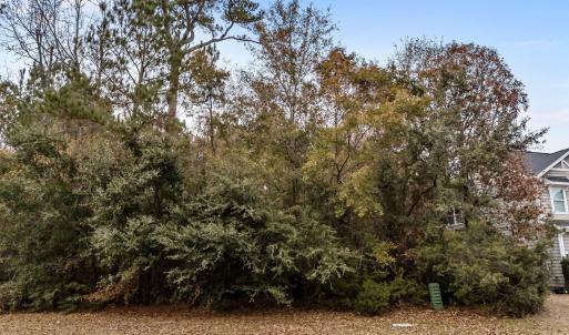Photo #10 of 603 Belhaven, Wilmington, NC 0.3 acres
