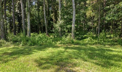 Photo #13 of State Road 1948, Edward, NC 1.9 acres