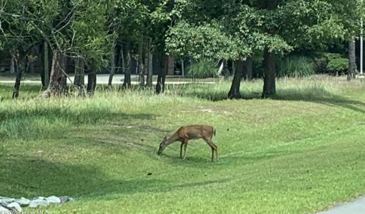 Photo #66 of 1809 Harbour Edge, Supply, NC 0.6 acres