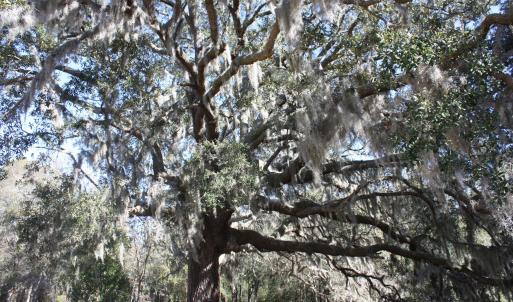 Photo #43 of 1809 Harbour Edge, Supply, NC 0.6 acres