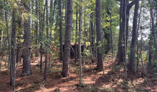 Photo #10 of 94 Whortonsville, Merritt, NC 10.1 acres