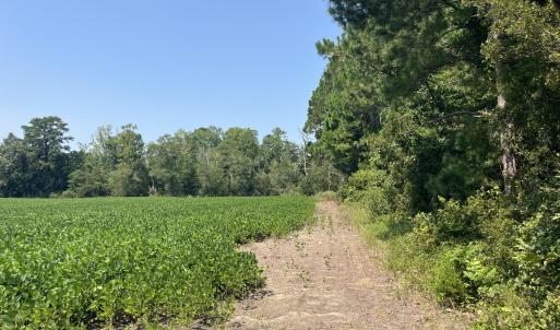 Photo #2 of 94 Whortonsville, Merritt, NC 10.1 acres