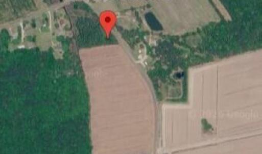 Photo #5 of 94 Whortonsville, Merritt, NC 10.1 acres
