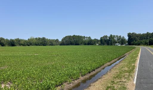 Photo #1 of 94 Whortonsville, Merritt, NC 10.1 acres