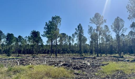 Photo #2 of Fayetteville, Garland, NC 26.4 acres