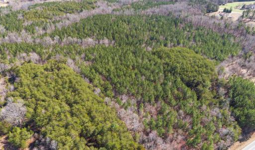 Photo #4 of Atkins, Mebane, NC 15.2 acres