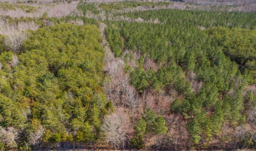 Photo #2 of Atkins, Mebane, NC 15.2 acres