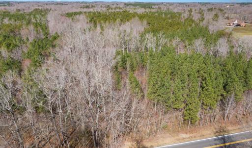 Photo #11 of State Hwy 49, Mebane, NC 13.5 acres