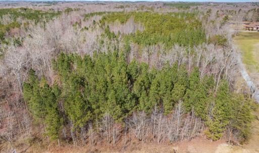 Photo #10 of State Hwy 49, Mebane, NC 13.5 acres