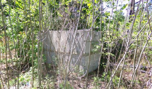 Photo #13 of 4766 Old Wire, Red Springs, NC 30.6 acres