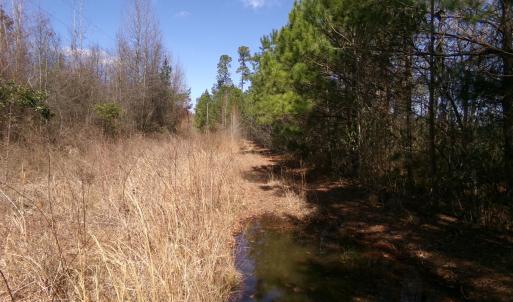Photo #1 of 4766 Old Wire, Red Springs, NC 30.6 acres