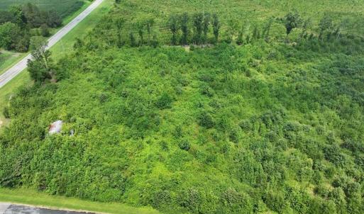 Photo #5 of 15 Rainbow, Scotland Neck, NC 14.2 acres