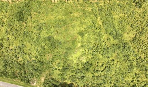 Photo #21 of 15 Rainbow, Scotland Neck, NC 14.2 acres