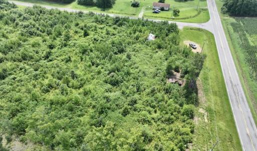 Photo #14 of 15 Rainbow, Scotland Neck, NC 14.2 acres