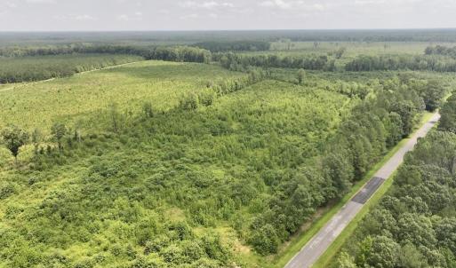 Photo #4 of 15 Rainbow, Scotland Neck, NC 14.2 acres