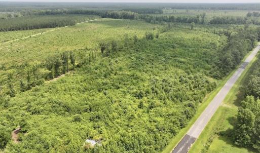 Photo #3 of 15 Rainbow, Scotland Neck, NC 14.2 acres