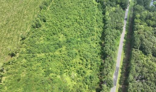 Photo #22 of 15 Rainbow, Scotland Neck, NC 14.2 acres