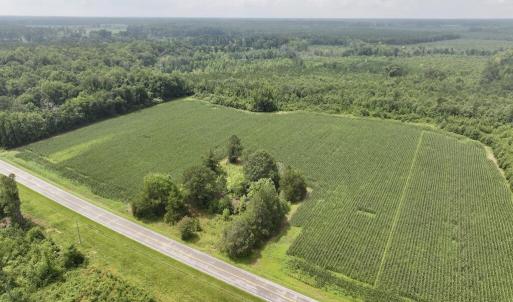 Photo #18 of Hwy 561, Halifax, NC 24.5 acres
