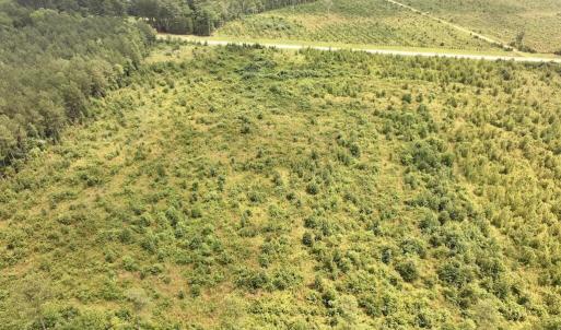 Photo #10 of Hwy 561, Halifax, NC 24.5 acres