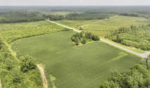 Photo #4 of Hwy 561, Halifax, NC 24.5 acres