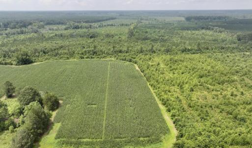Photo #16 of Hwy 561, Halifax, NC 24.5 acres