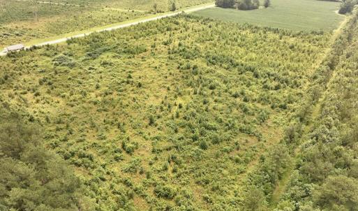 Photo #11 of Hwy 561, Halifax, NC 24.5 acres