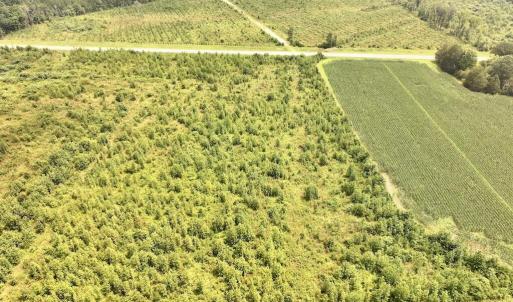 Photo #8 of Hwy 561, Halifax, NC 24.5 acres