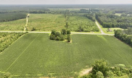 Photo #6 of Hwy 561, Halifax, NC 24.5 acres