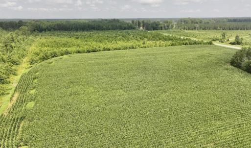 Photo #24 of Hwy 561, Halifax, NC 24.5 acres